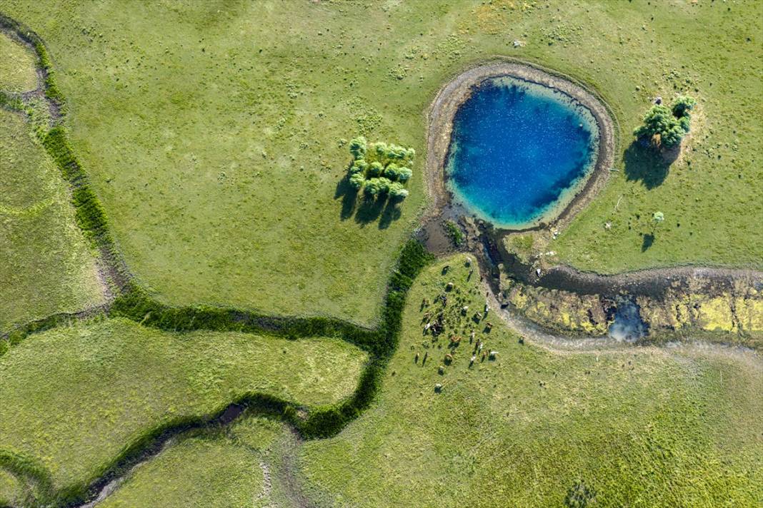 Konya’nın en büyük gölündeki büyüleyici kareler, felaketin işareti 2